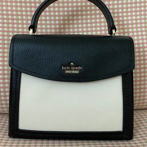Small Top Handle Handbag